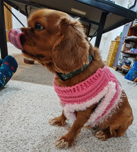 Load image into Gallery viewer, Crochet Dog Halter
