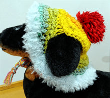 Load image into Gallery viewer, Crochet Dog Hat - Colors Vary
