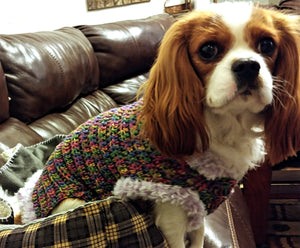 Faux Fur lined Crochet Dog Sweater