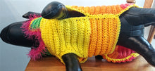Load image into Gallery viewer, Crochet Dog Sweater - perfect for Valentine&#39;s Day
