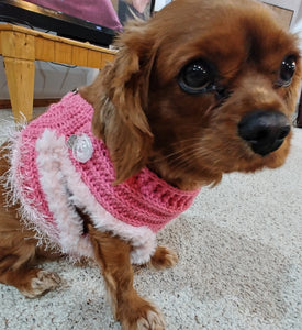 Crochet Dog Halter