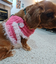 Load image into Gallery viewer, Crochet Dog Halter
