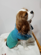 Load image into Gallery viewer, Crochet Dog Sweater/Hoodie
